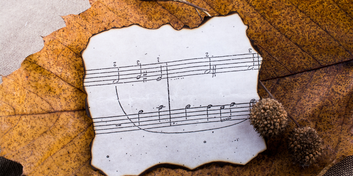 Join Us for the Fall Showcase Concert